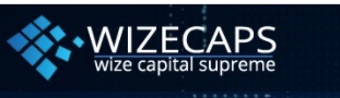 Wize Caps logo