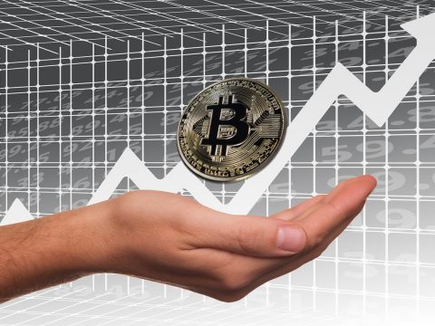 BTC to USD Slid by 2.42% on Tuesday, Reversing 1.18% Gain on Monday